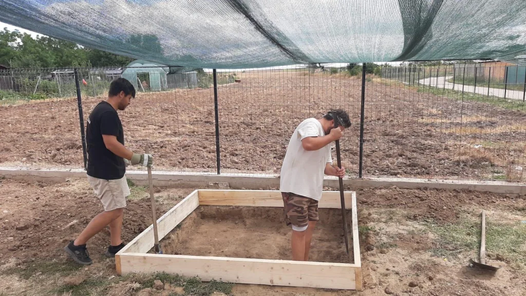 96f2f7f0-e711-451c-91d5-5d1a0f36cc7b - Denisa Paul