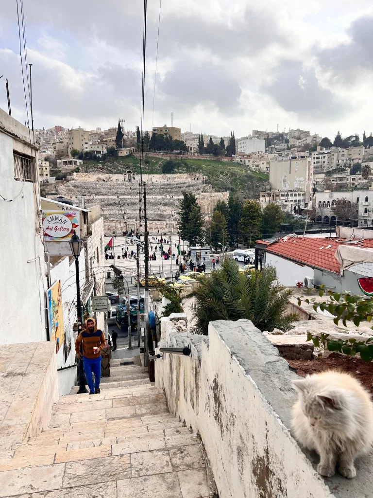 WhatsApp Image 2026-02-16 at 6.10.16 PM